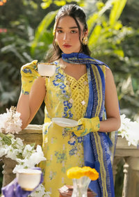 mohsin-saeed-fabrics-affordable-luxury-outfits-for-daily-formal-and-wedding-wear-This-product-is-from-asifa-nabeel-gulkari-summer25-gkl-15-sunlit-breeze-is-available-on-Mohsin-saeed-fabrics-website.