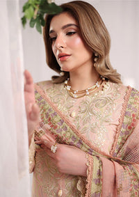 Rang Rasiya Nova Summer Edit'26 D-04 Gabriella