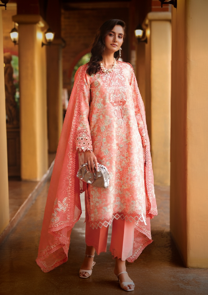 Rang Rasiya Florence'26 -Safina