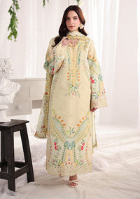 Rang Rasiya Nova Summer Edit'26 D-14 Georgia