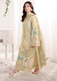 Rang Rasiya Nova Summer Edit'26 D-14 Georgia