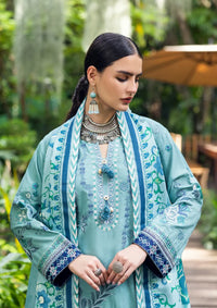 Mushq Hemline Symphony Karandi'25 D-06 Glided Hour