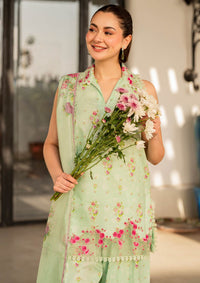 Asifa & Nabeel Meraki Summer Vol-2'24 MK-11 Gul-e-Rana - Mohsin Saeed Fabrics