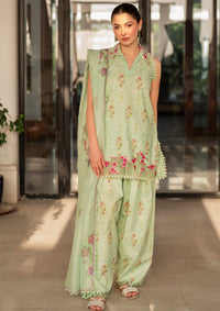 Asifa & Nabeel Meraki Summer Vol-2'24 MK-11 Gul-e-Rana - Mohsin Saeed Fabrics