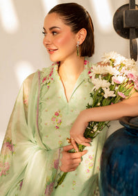 Asifa & Nabeel Meraki Summer Vol-2'24 MK-11 Gul-e-Rana - Mohsin Saeed Fabrics