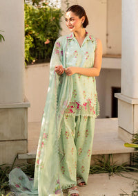 Asifa & Nabeel Meraki Summer Vol-2'24 MK-11 Gul-e-Rana - Mohsin Saeed Fabrics
