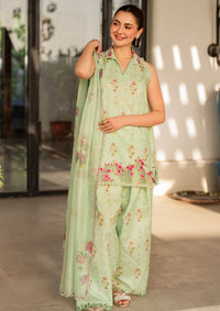 Asifa & Nabeel Meraki Summer Vol-2'24 MK-11 Gul-e-Rana - Mohsin Saeed Fabrics