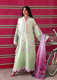 Republic Neoma Lawn'26 D-11 Gulnaar
