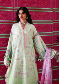 Republic Neoma Lawn'26 D-11 Gulnaar