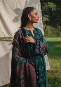Saira Rizwan Winter'24 SRW-01 DEA