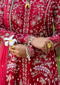 Saira Rizwan Wedding Festive'25 SRF-01 GOLNAR