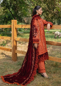 Saira Rizwan Winter'24 SRW-10 CIRO