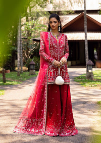 Saira Rizwan Wedding Festive'25 SRF-01 GOLNAR