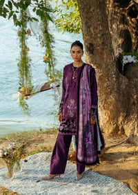 Saira Rizwan Winter'24 SRW-02 RUNI