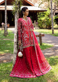 Saira Rizwan Wedding Festive'25 SRF-01 GOLNAR