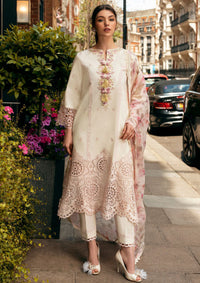 Mushq Hemline Odyssey'24 HMC-08 Mocha Muse