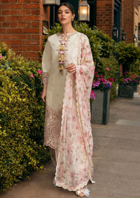 Mushq Hemline Odyssey'24 HMC-08 Mocha Muse