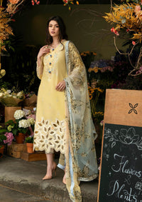 Mushq Hemline Odyssey'24 HMC-01 Sunset Sway