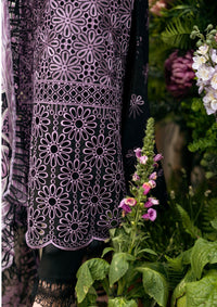 Mushq Hemline Odyssey'24 HMC-05 LUXE LACE