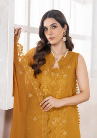 lLana by Panache Emb Karandi'24 D-04