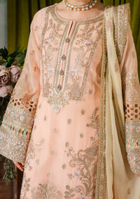 Naina By Imrozia Luxury Chiffon'24 I-193 Kashud