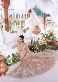Imrozia Sajal Bridal Vol-02'26 I-265 Meherbano