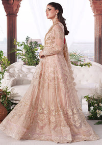 Imrozia Sajal Bridal Vol-02'26 I-265 Meherbano
