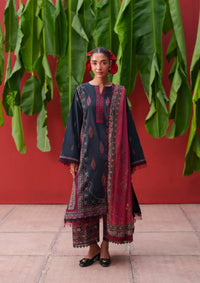 Saira Rizwan Laanem'26 D-03 AZAI-A
