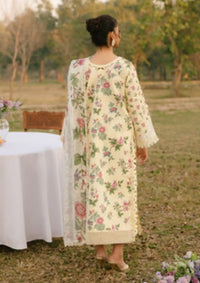 mohsin-saeed-fabrics-affordable-luxury-outfits-for-daily-formal-and-wedding-wear-This-product-is-from-parishay-ivy-bloom-lawn25-ivy-06-is-available-on-Mohsin-saeed-fabrics-website.