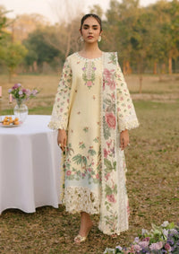 mohsin-saeed-fabrics-affordable-luxury-outfits-for-daily-formal-and-wedding-wear-This-product-is-from-parishay-ivy-bloom-lawn25-ivy-06-is-available-on-Mohsin-saeed-fabrics-website.