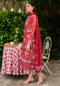 mohsin-saeed-fabrics-affordable-luxury-outfits-for-daily-formal-and-wedding-wear-This-product-is-from-parishay-ivy-bloom-winter-edit25-ivy-13-is-available-on-Mohsin-saeed-fabrics-website.