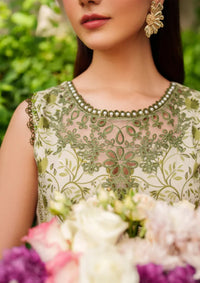 mohsin-saeed-fabrics-affordable-luxury-outfits-for-daily-formal-and-wedding-wear-This-product-is-from-parishay-ivy-bloom-winter-edit25-ivy-12-is-available-on-Mohsin-saeed-fabrics-website.