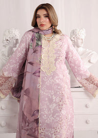 Rang Rasiya Nova Summer Edit'26 D-10 Isabella