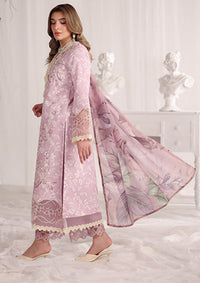 Rang Rasiya Nova Summer Edit'26 D-10 Isabella