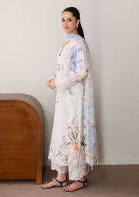 Roheenaz Sunlit Tales'26 D-12 Ivory Gleam