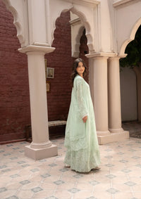 mohsin-saeed-fabrics-designer-daily-wear-formal-and-wedding-suits-within-budget-This-product-is-from-manahils-k-165-pastel-green-is-available-on-Mohsin-saeed-fabrics-website.