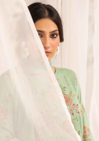 Khoobsurat Signature Karandi'25 SK-05