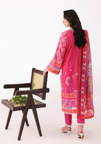 Roheenaz Rosette Lawn'26 D-68A Lumina