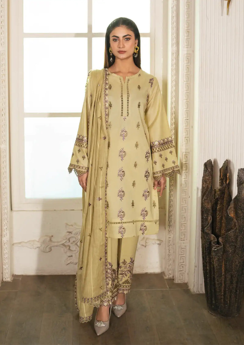 Mah-e-Noor by Sidra Aleem'24 D-05 - Mohsin Saeed Fabrics