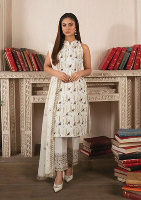 Mah-e-Noor by Sidra Aleem'24 D-01 - Mohsin Saeed Fabrics