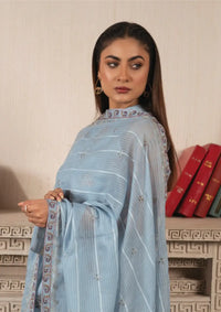 Mah-e-Noor by Sidra Aleem'24 D-03 - Mohsin Saeed Fabrics