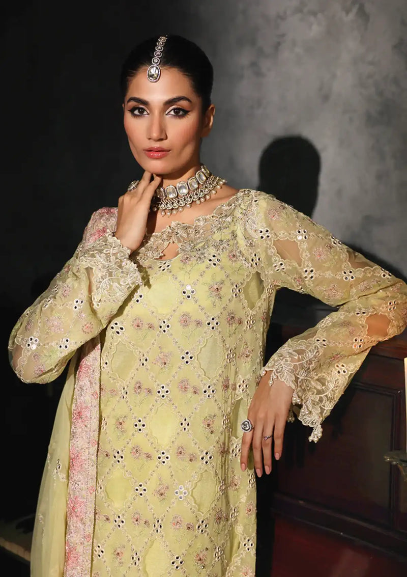 RajBari Sage Formal Edit'24 D-05 Ivy