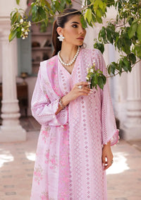 mohsin-saeed-fabrics-designer-daily-wear-formal-and-wedding-suits-within-budget-This-product-is-from-rajbari-nissa-chikankari-edition25-d-06-is-available-on-Mohsin-saeed-fabrics-website.