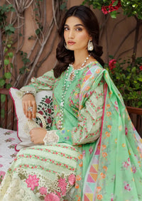 Rajbari Printkari Exclusive'24 D-05-A - Mohsin Saeed Fabrics