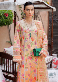 Rajbari Printkari Exclusive'24 D-06-A - Mohsin Saeed Fabrics