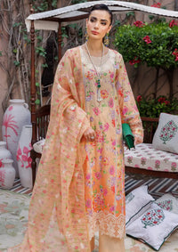 Rajbari Printkari Exclusive'24 D-06-A - Mohsin Saeed Fabrics