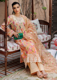 Rajbari Printkari Exclusive'24 D-06-A - Mohsin Saeed Fabrics