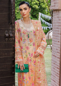 Rajbari Printkari Exclusive'24 D-06-A - Mohsin Saeed Fabrics