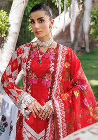 Rajbari Printkari Exclusive'24 D-01-B - Mohsin Saeed Fabrics