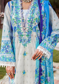 Rajbari Printkari Exclusive'24 D-04-B - Mohsin Saeed Fabrics